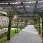 Orange County Arboretum